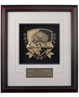 CUSTOM FRAMED AWARDS